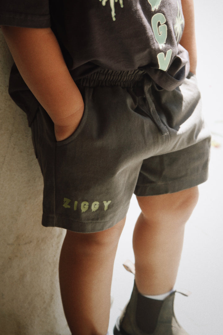 CANVAS SHORTS | ZEPHYR