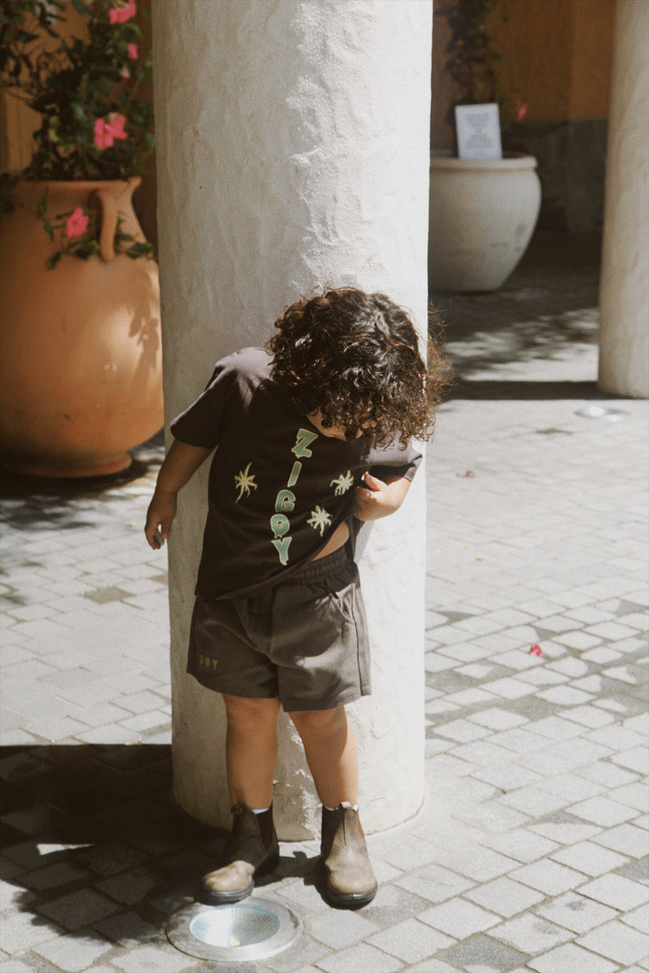 CANVAS SHORTS | ZEPHYR