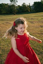 SOFIA DRESS CRIMSON