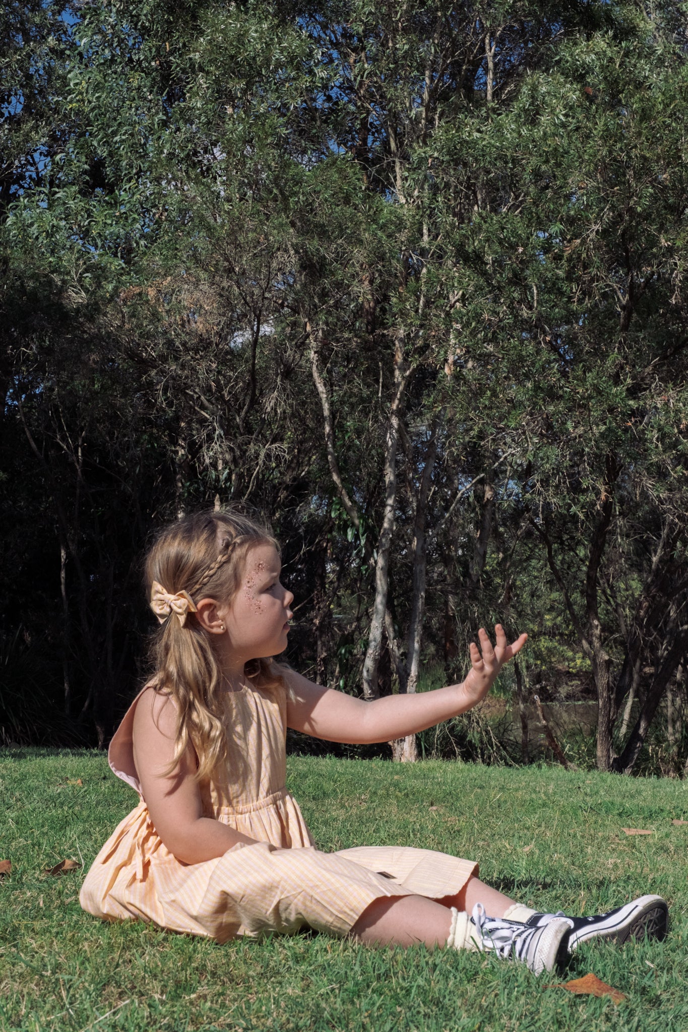 BOWS MARIGOLD
