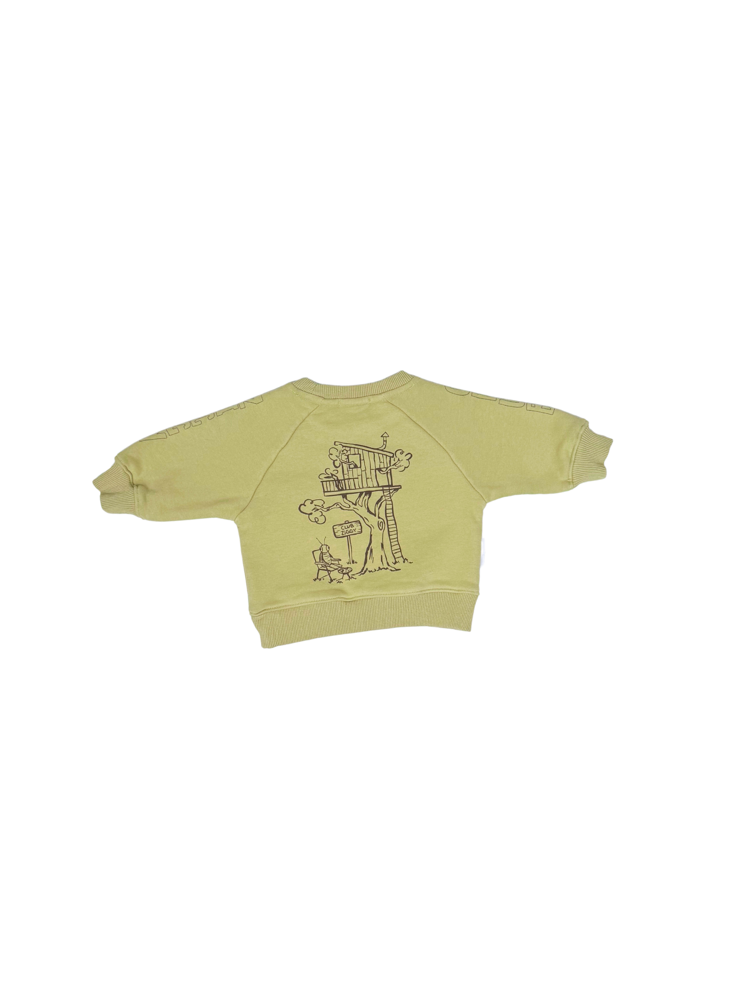 SWEATSHIRT KIWI