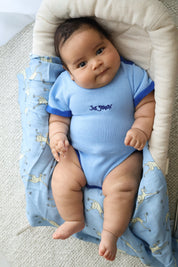 SWADDLE JUST GROOVIN'