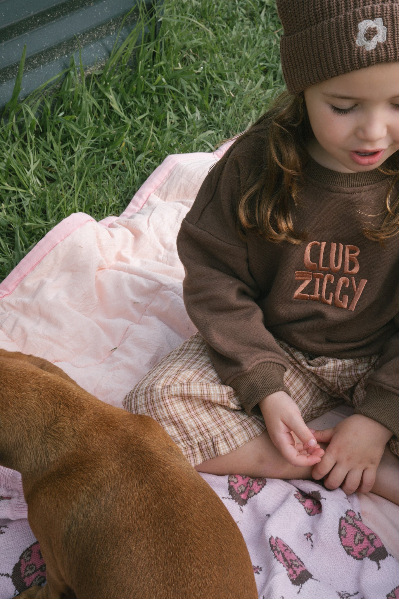 SWEATSHIRT PINECONE