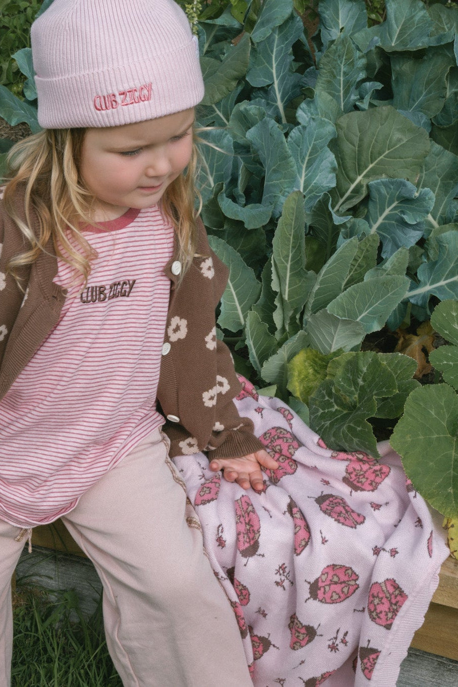 BLANKET LADYBUG