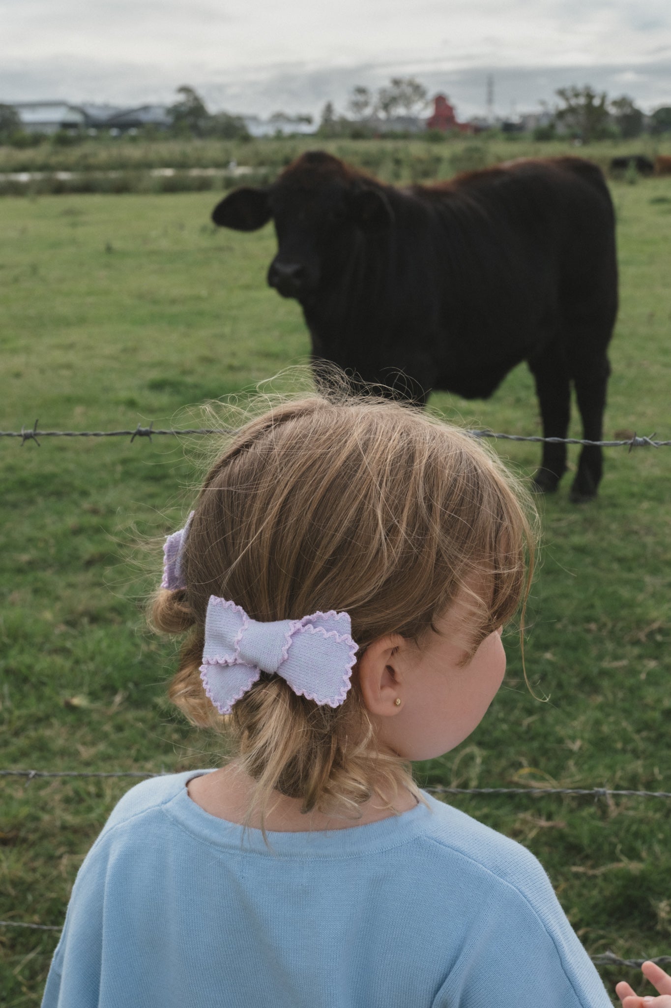 BOWS PERI LACE